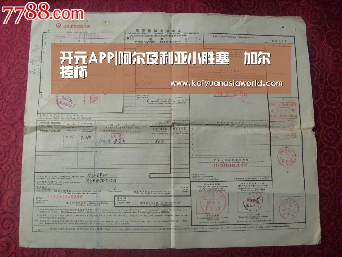 开元APP|阿尔及利亚小胜塞內加尔捧杯(图2) 开元APP