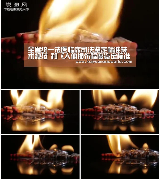全省统一法医临床司法鉴定标准技术规范 和《人体损伤程度鉴定标准》常见疑难条款 解析专题研讨会在哈尔滨召开‘开元APP’(图3) 开元百家乐