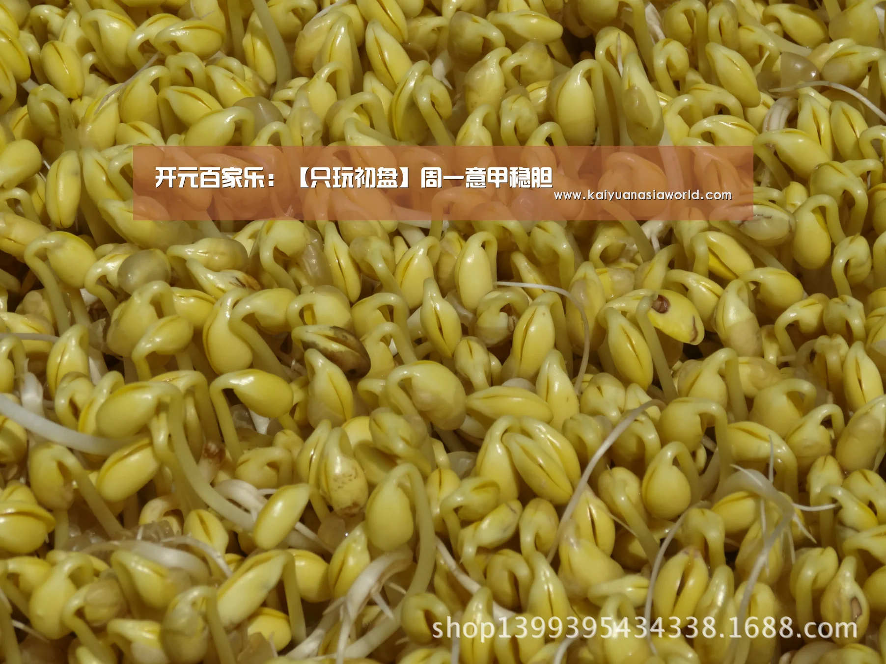 开元百家乐:【只玩初盘】周一意甲稳胆(图1) 开元百家乐
