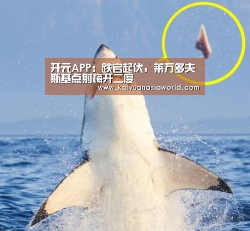 开元APP:跌宕起伏,莱万多夫斯基点射梅开二度(图2) 开元官方