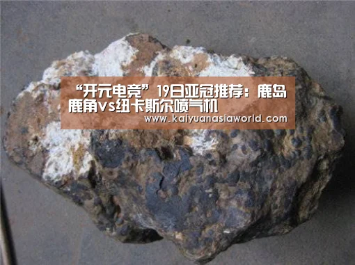 “开元电竞”19日亚冠推荐:鹿岛鹿角vs纽卡斯尔喷气机(图1) 开元百家乐